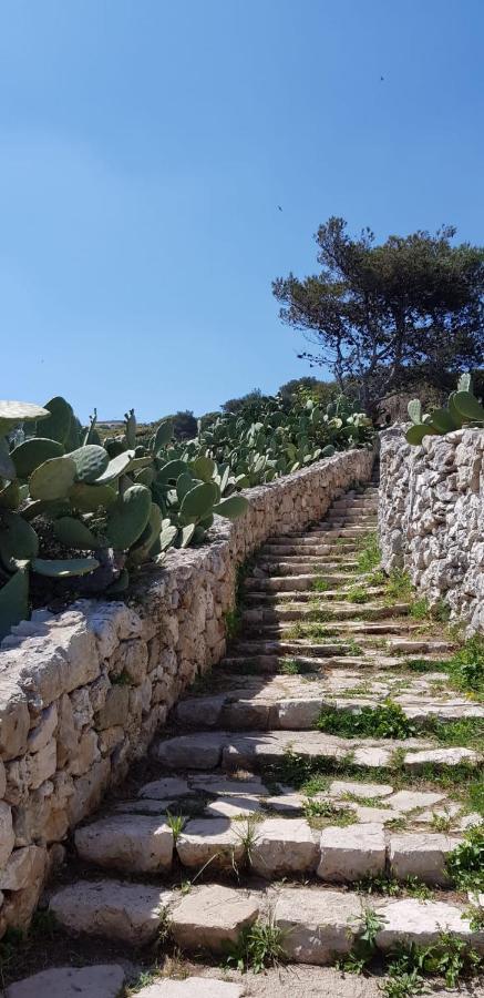 Affittasi Casa Vacanza A Casa Di Emma Leverano Dış mekan fotoğraf