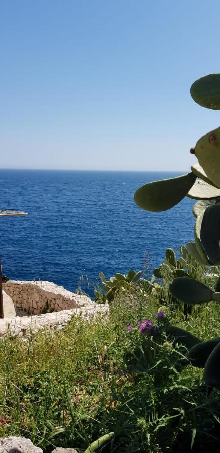 Affittasi Casa Vacanza A Casa Di Emma Leverano Dış mekan fotoğraf