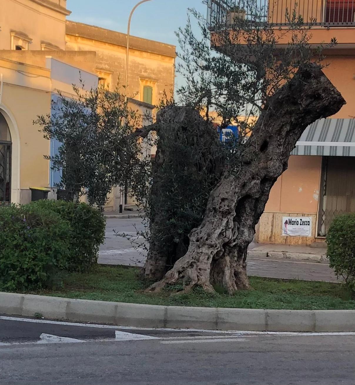 Affittasi Casa Vacanza A Casa Di Emma Leverano Dış mekan fotoğraf